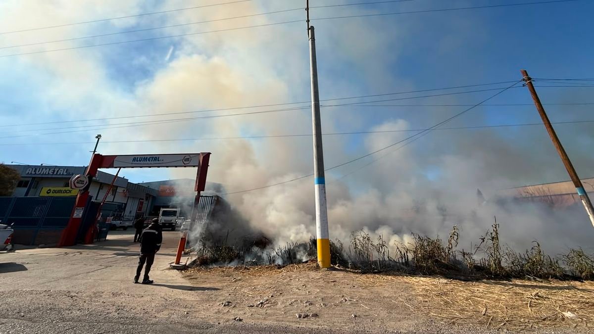 Incendio de pastizales junto a un negocio de construcción en Rawson
