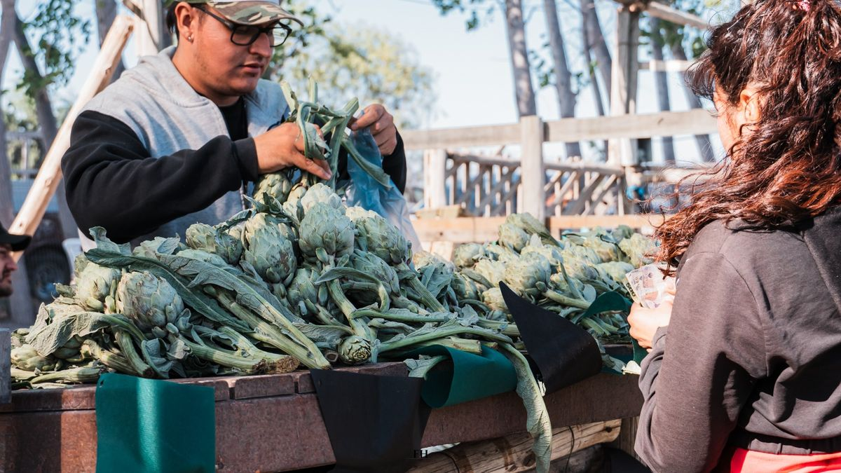 Puesto de venta de alcauciles en una actividad de la producción local.