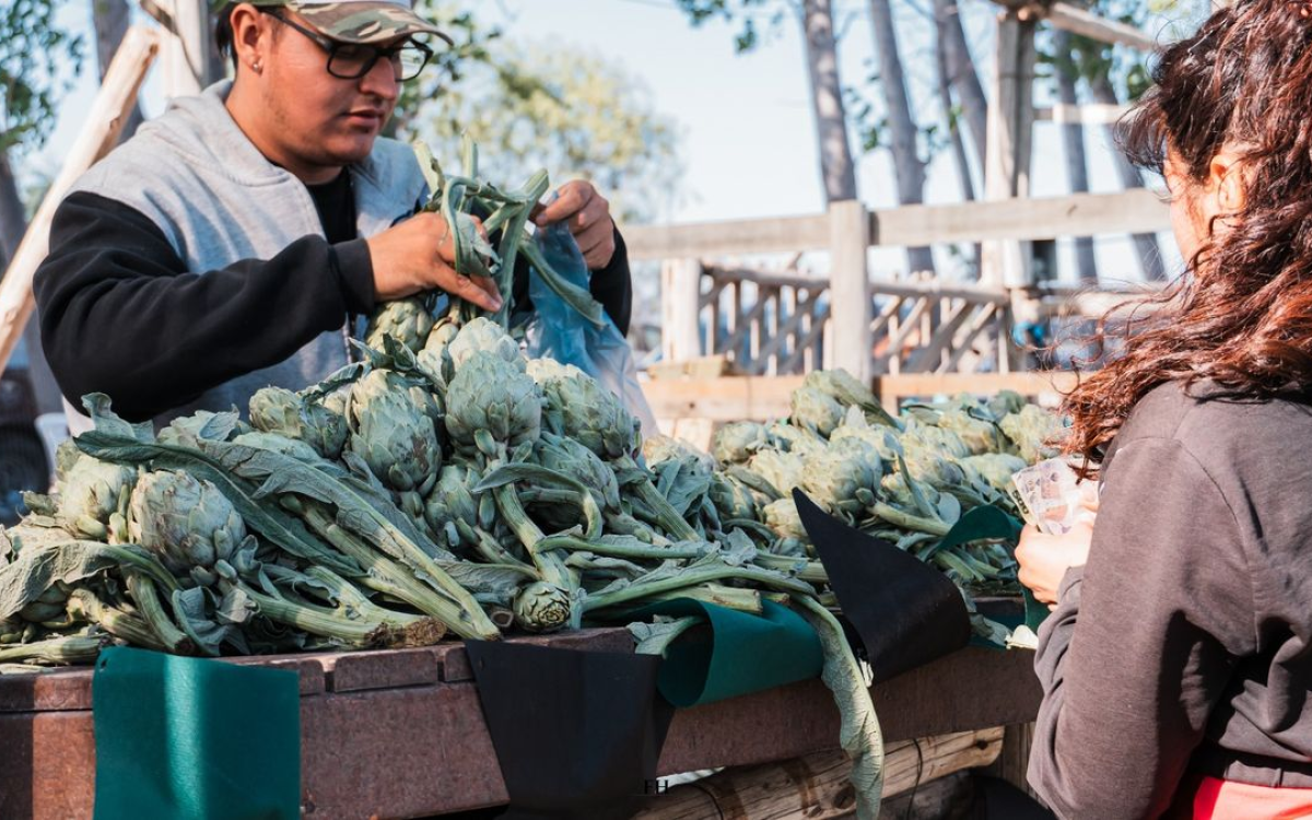 Puesto de venta de alcauciles en una actividad de la producción local.