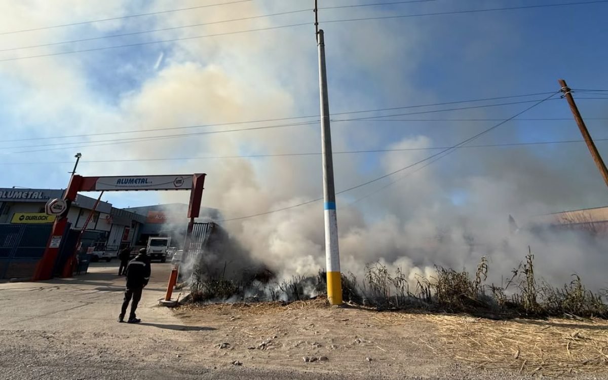 Incendio de pastizales junto a un negocio de construcción en Rawson