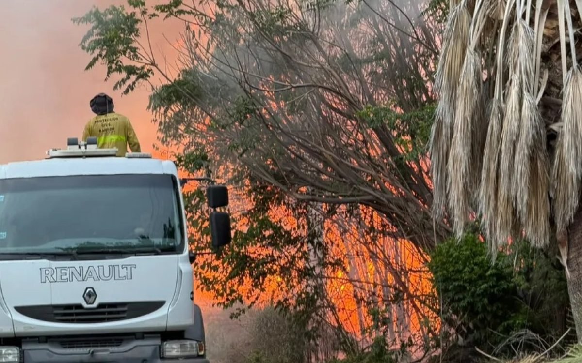 Un camión de bomberos con un brigadista en el techo, frente a árboles y pasturas en llamas.